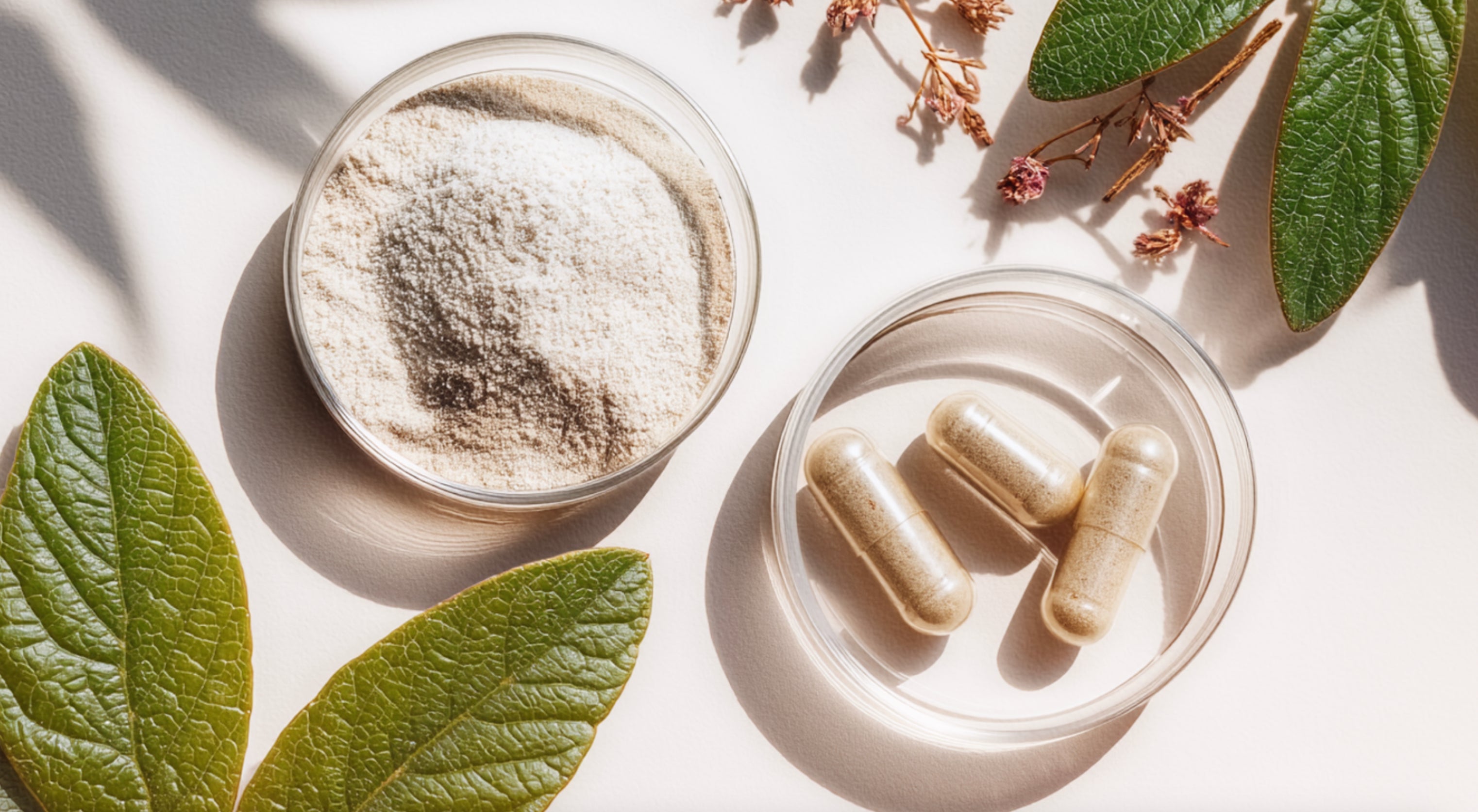 Clean Cosmetics and Whole-Health Products
