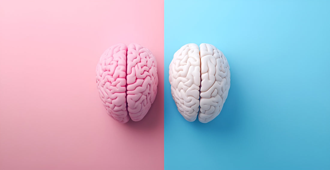 The End of Alzheimer's As We Know It?* A New Framework for Prevention and Reversal