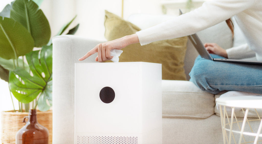 Air Purifiers and Ozone