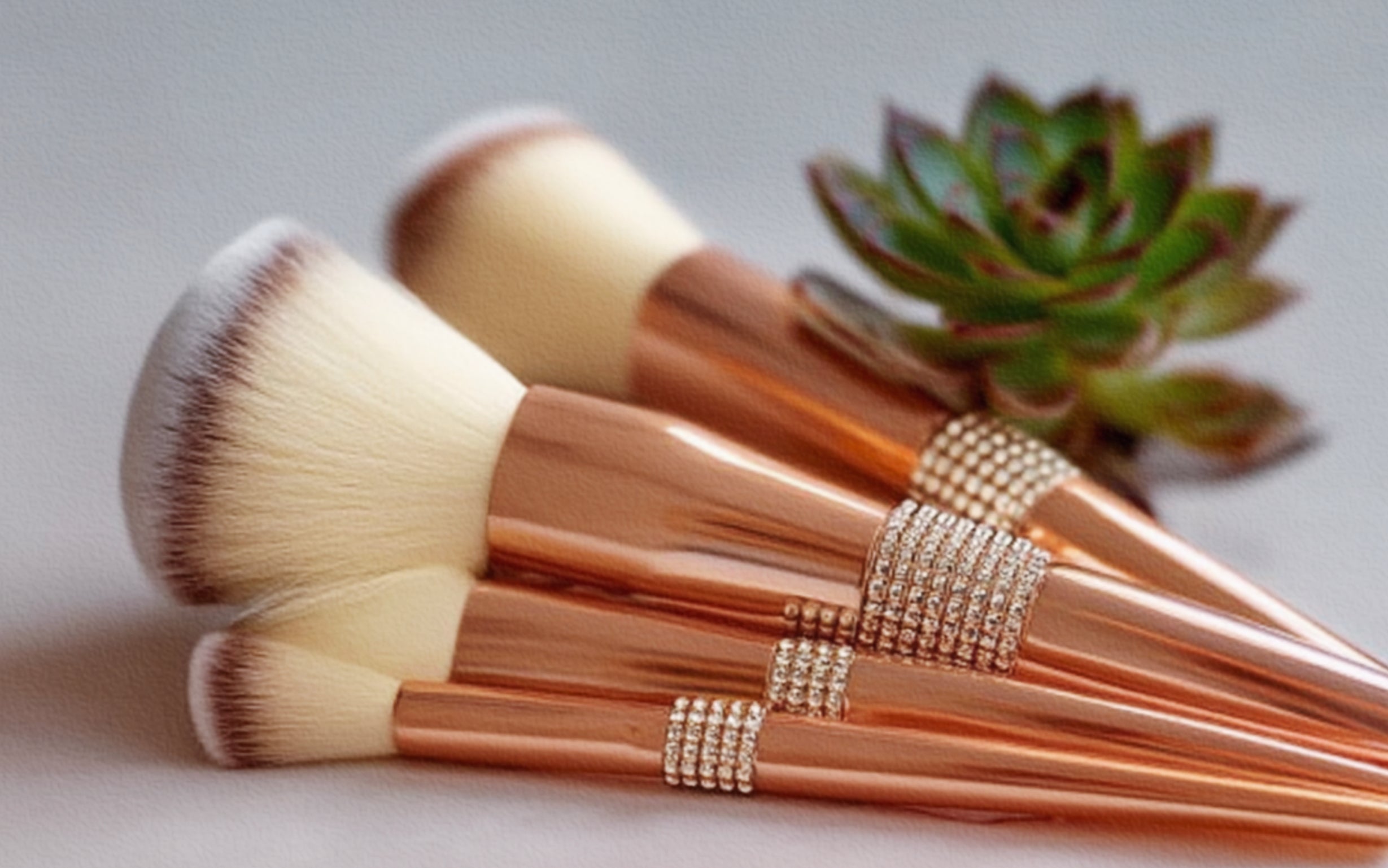 Vegan, Cruelty-Free Makeup Brushes