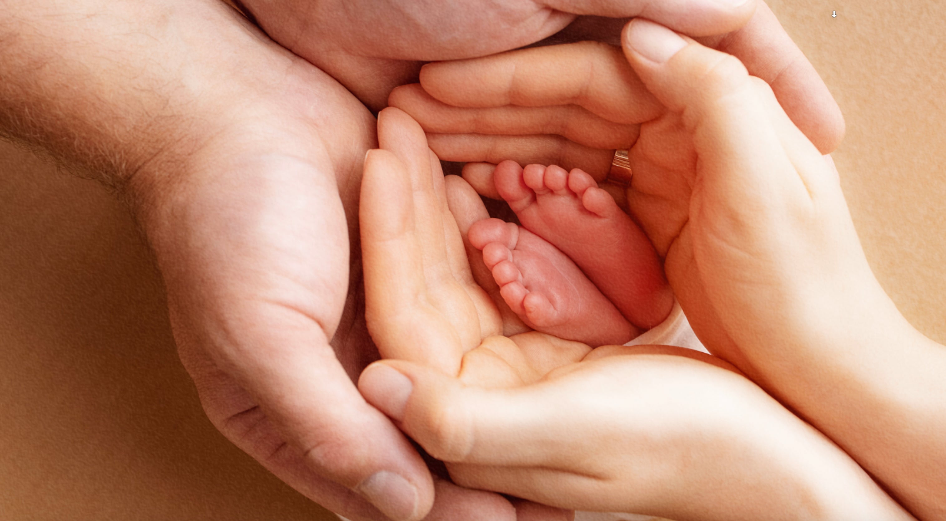 Fertility