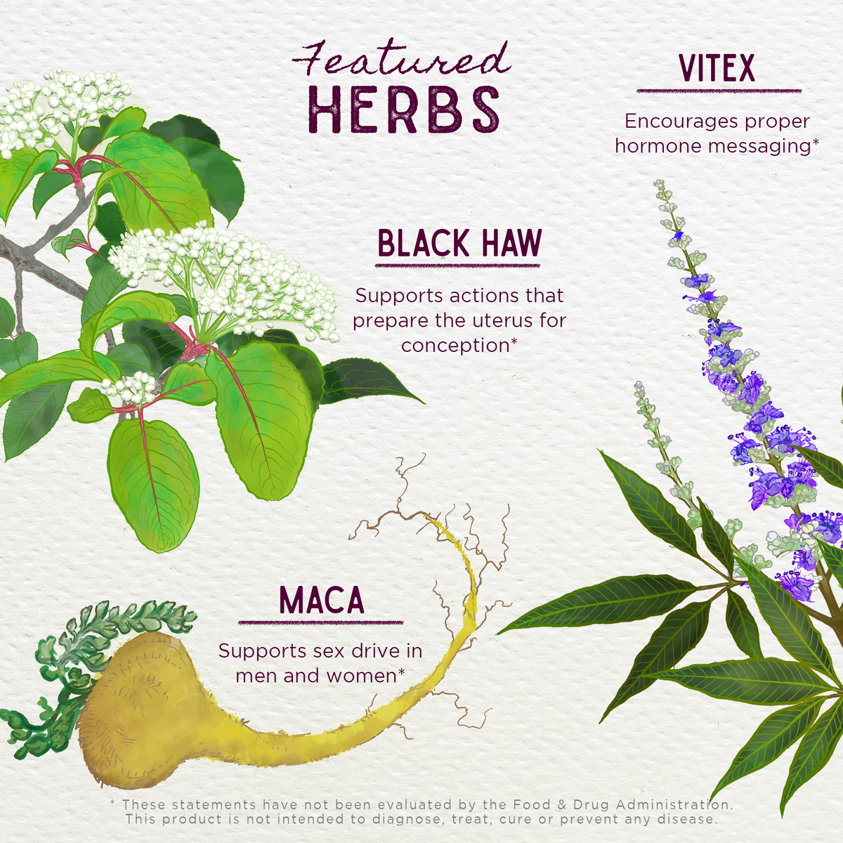 Conception Support Fertility Prep Conception Support – Heal Yes!