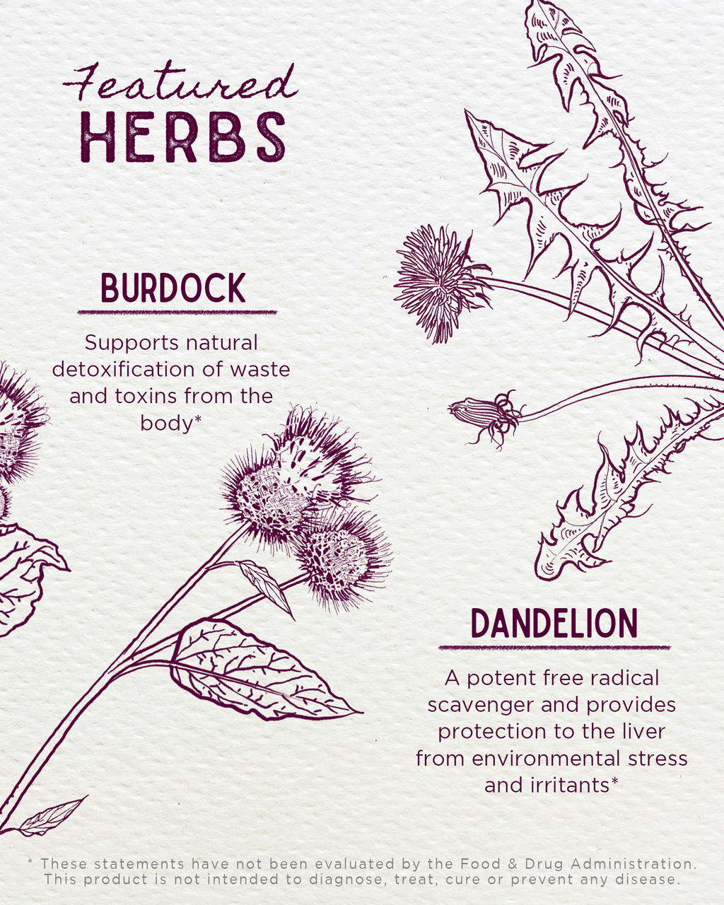 Liver Strength Daily Support