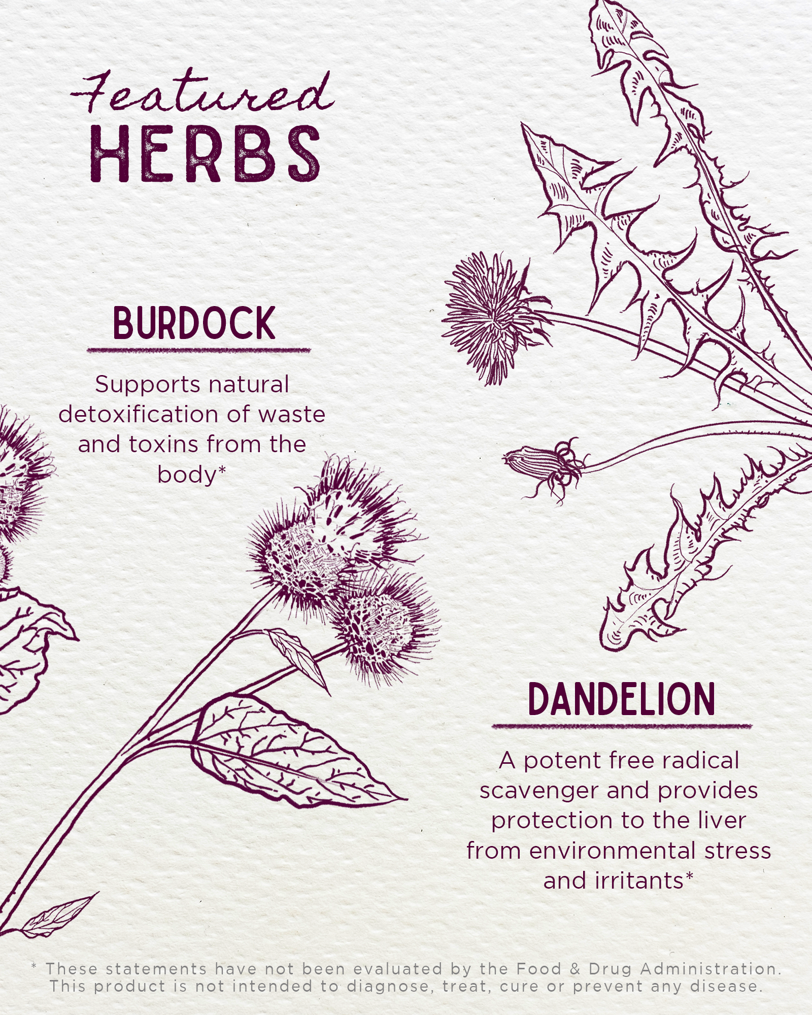 Liver Strength Daily Support