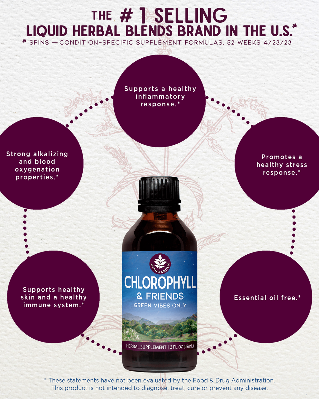 Chlorophyll & Friends