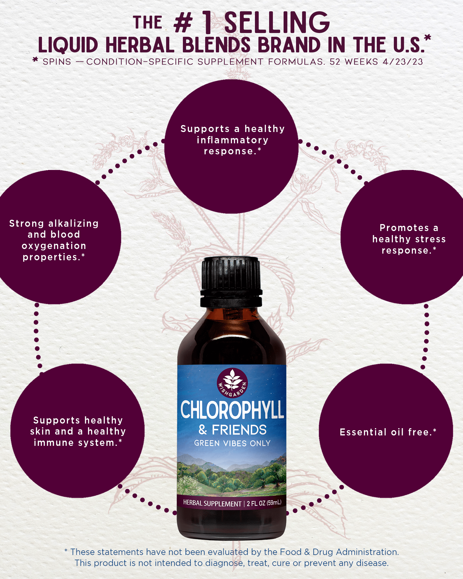 Chlorophyll & Friends