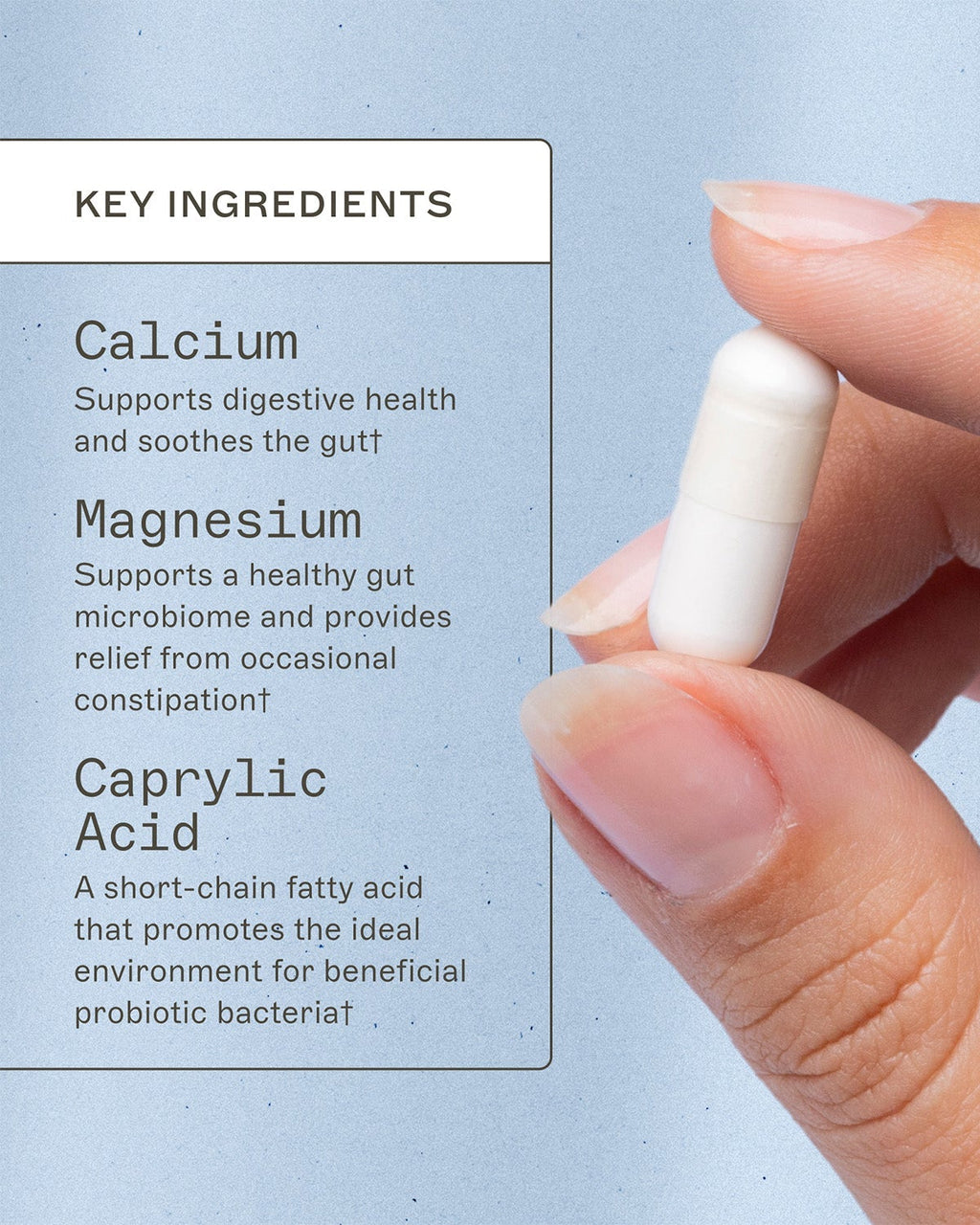 Caprylic Acid