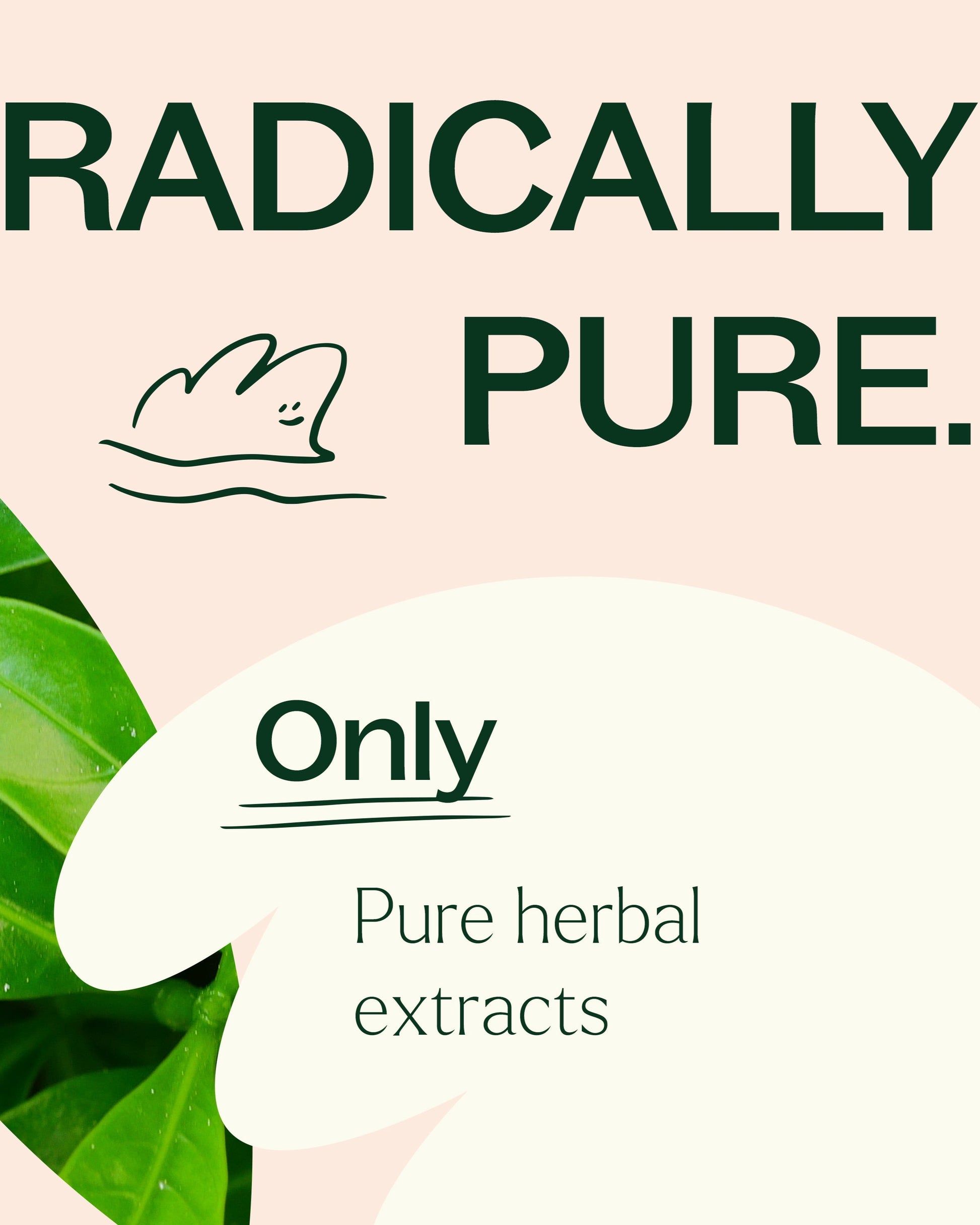 Metabolism Boost Herbal Supplement