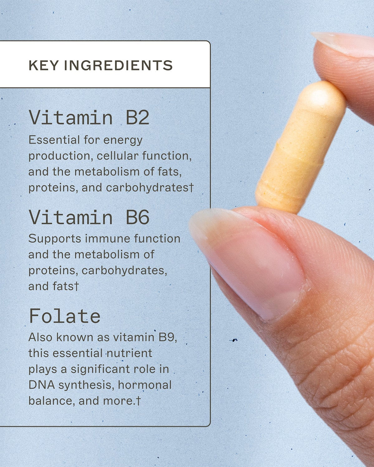 Methylation Support® - MTHFR Supplement