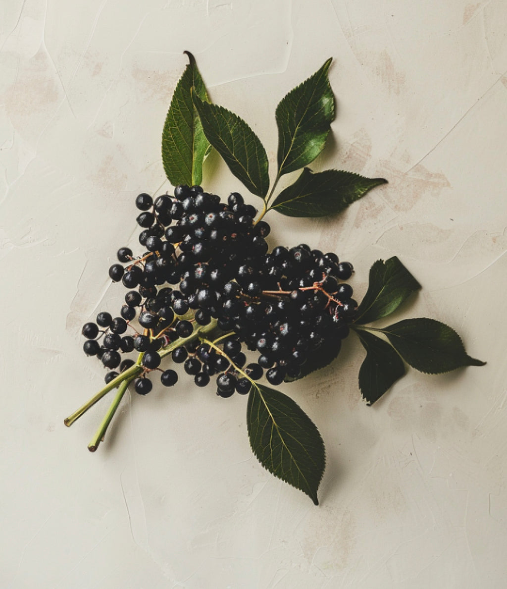 Elderberry Elixir