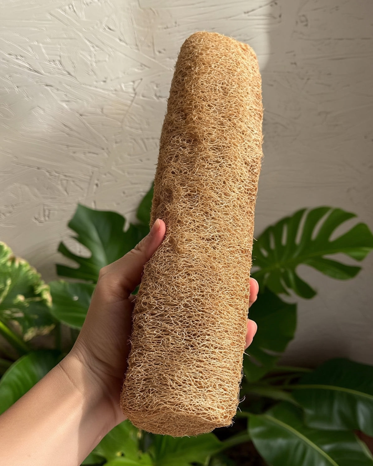Large Natural Loofah
