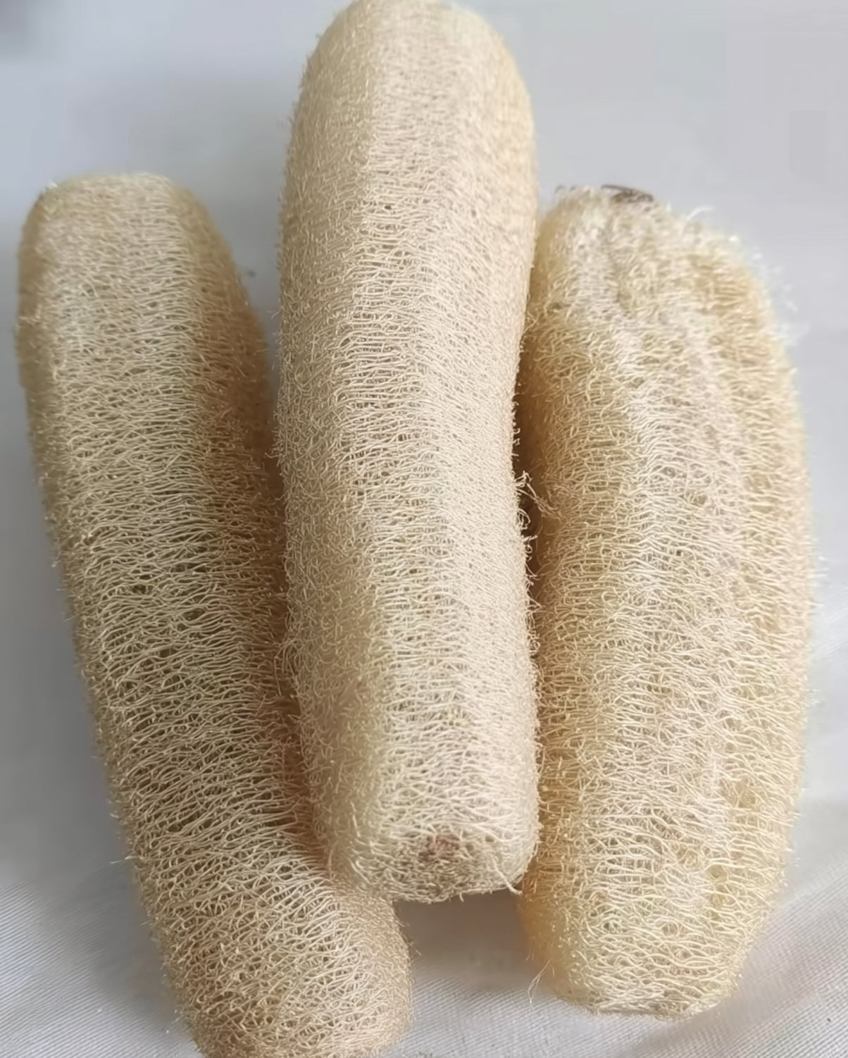 Large Natural Loofah