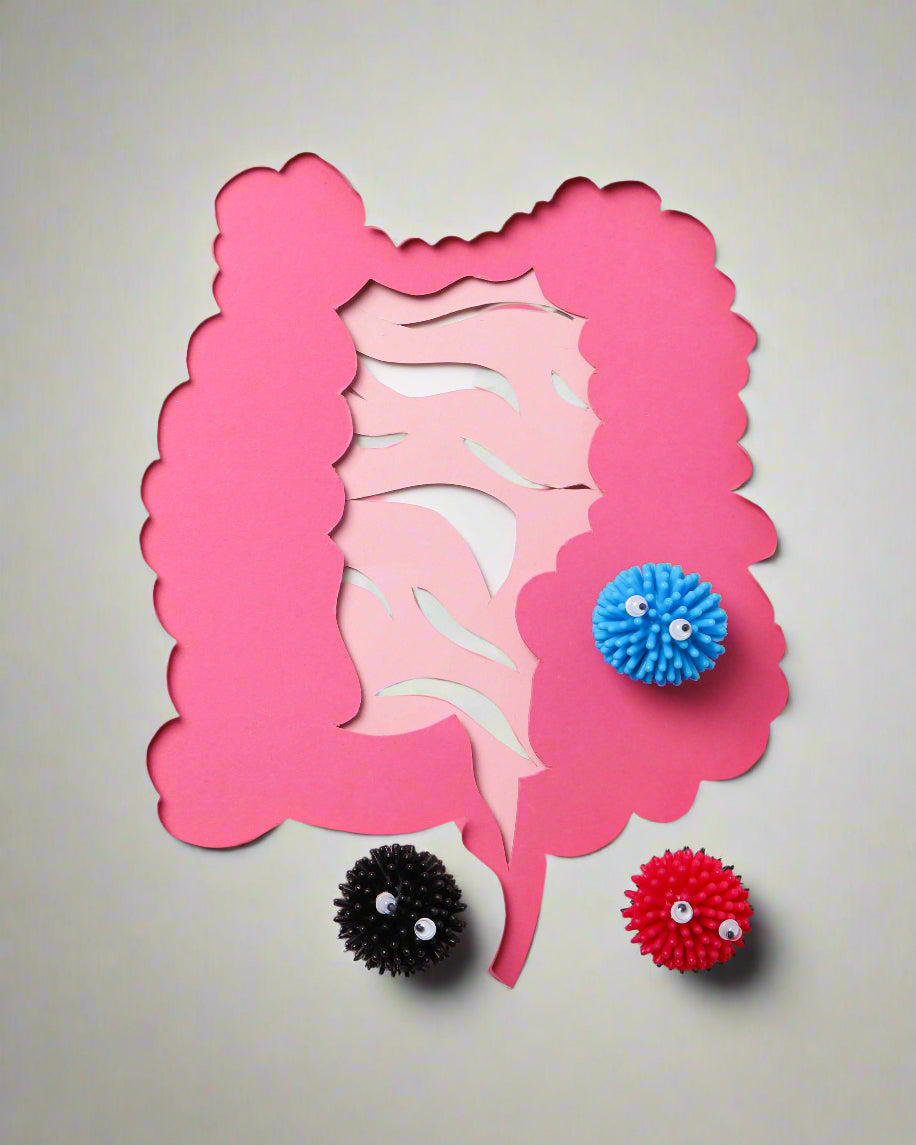 Comprehensive Stool Analysis with Parasitology Fecal Test