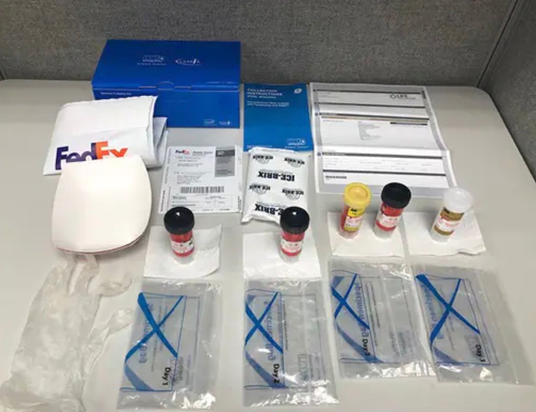 Comprehensive Stool Analysis with Parasitology Fecal Test